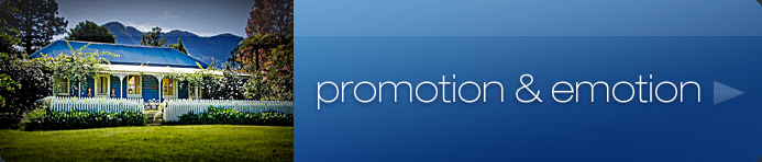 promotion and emotion